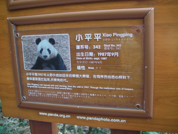 blog_chine_20160402_10h54m33_panda